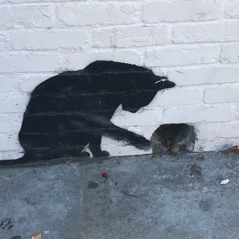 Meet your Posher, Margaret